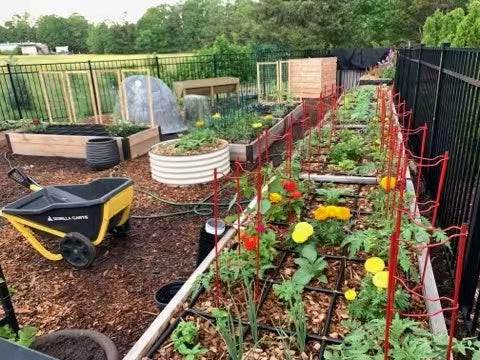 garden beds