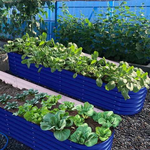 raised garden beds