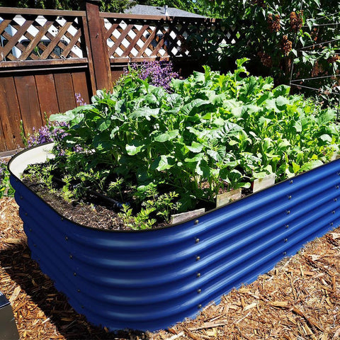 raised garden beds