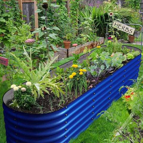 raised garden beds