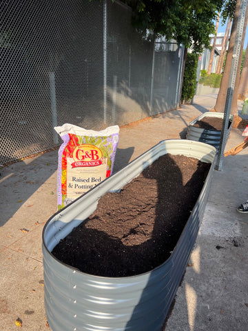 raised garden beds