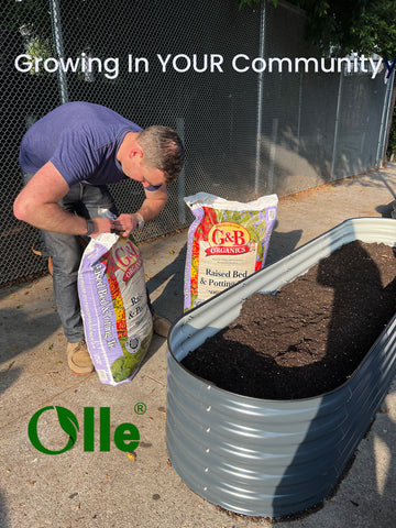 Olle Gardens Raised Beds