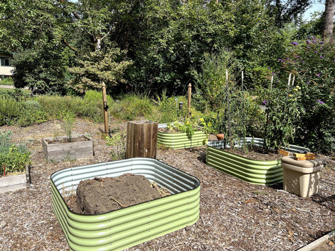 raised garden beds