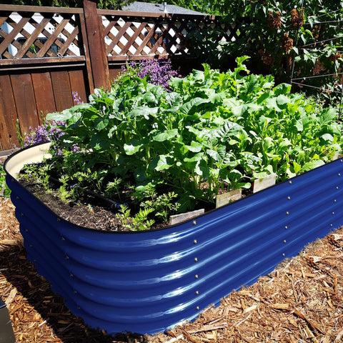 metal garden beds