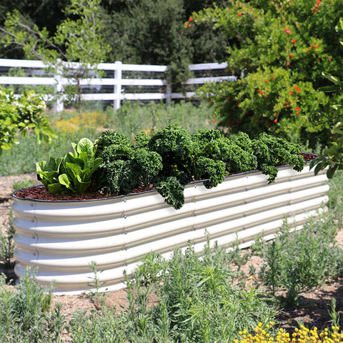 raised garden bed