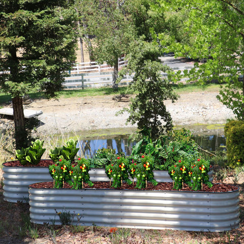 raised garden beds