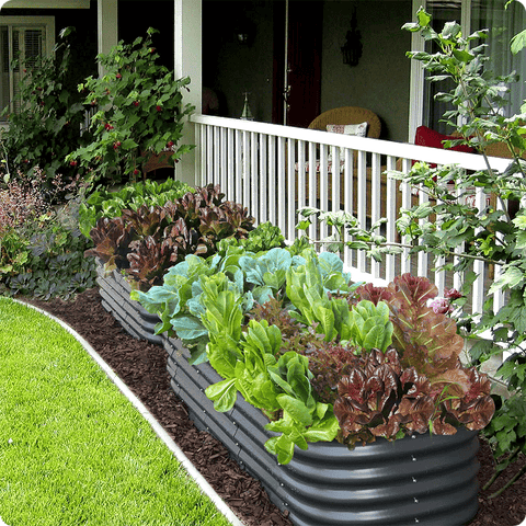 raised garden beds