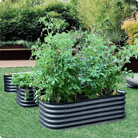 raised garden beds