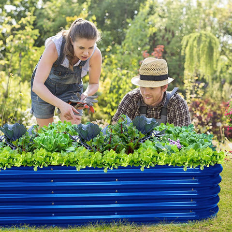 raised garden beds