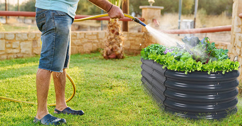 raised garden bed