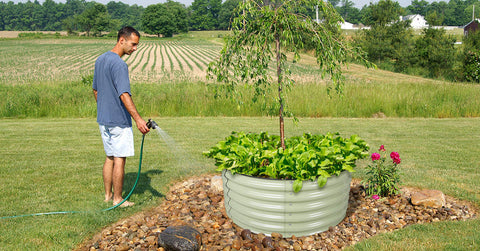 raised garden bed