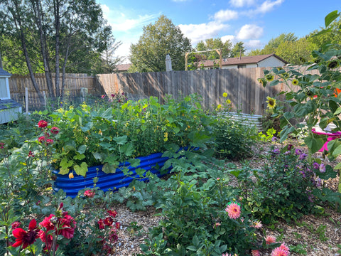 raised garden beds