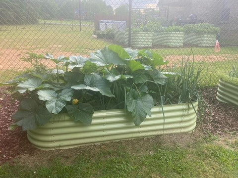 metal garden beds