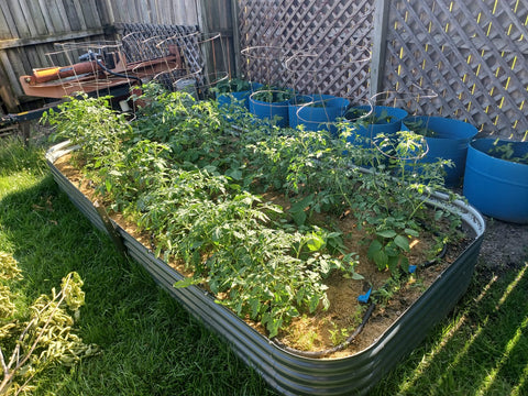 DIY garden beds