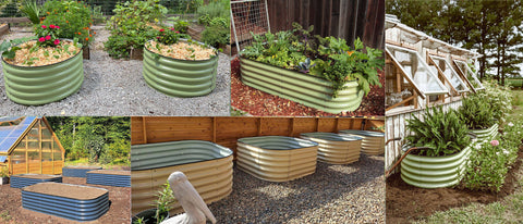 raised garden beds