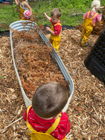 raised garden bed