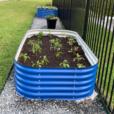 raised garden beds