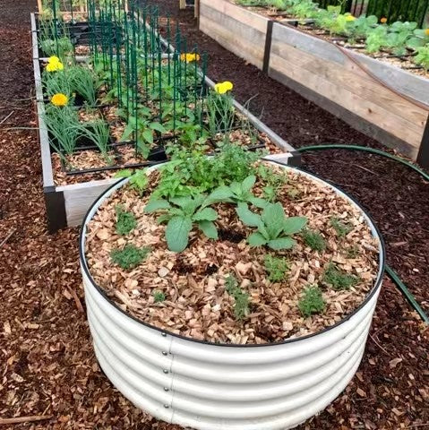 raised garden beds