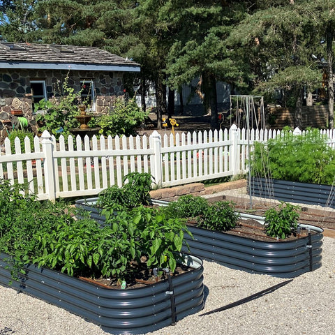 raised garden beds