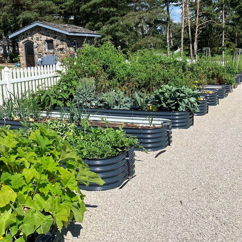 garden beds，raised garden beds，metal garden beds，DIY garden beds