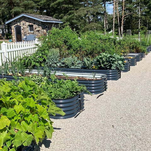 raised garden beds