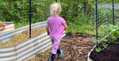 raised garden bed