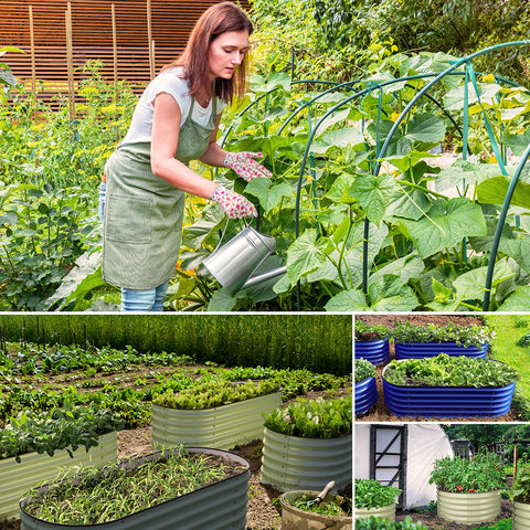 raised garden bed