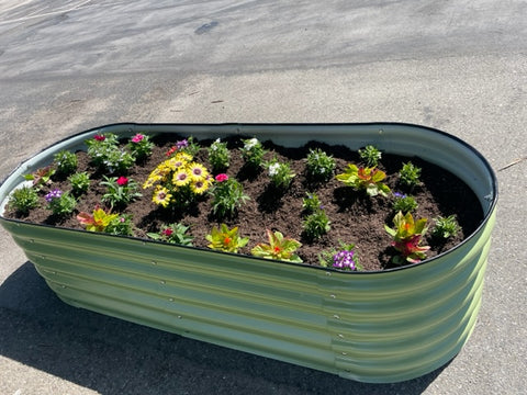 Raised Backyard Garden Beds