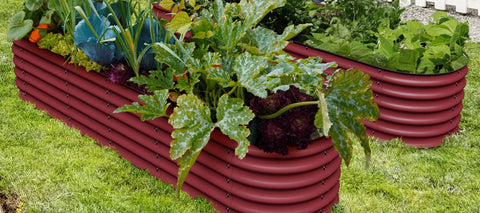 raised garden beds