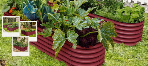 raised garden beds