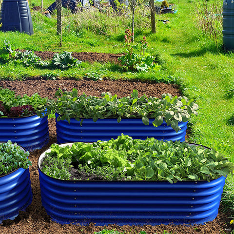 raised garden beds