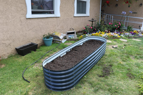 raised garden bed.