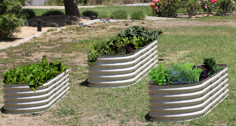 raised garden bed