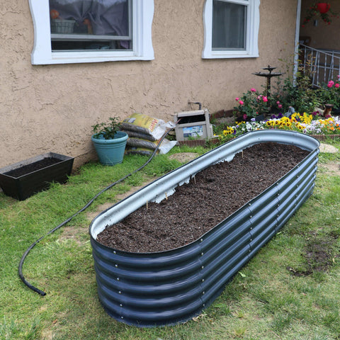 raised garden beds