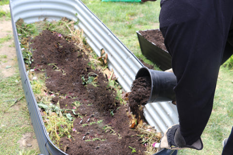 raised garden bed