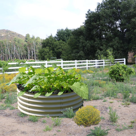 metal garden beds