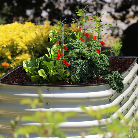 raised garden bed