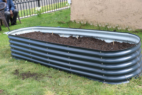 raised garden bed