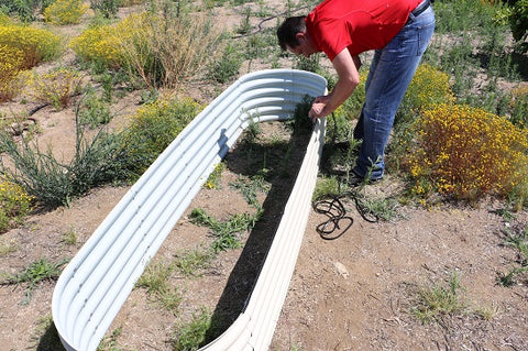 raised garden bed