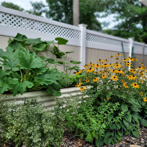 raised garden bed