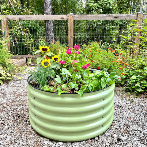 raised garden bed