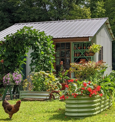 raised garden bed