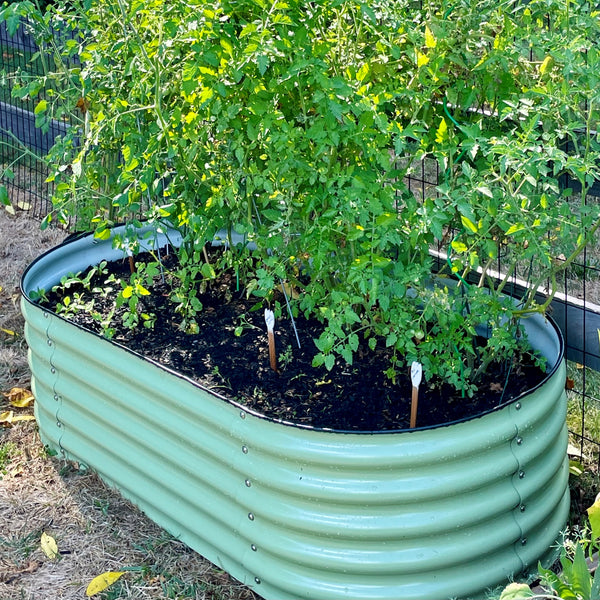 raised garden bed