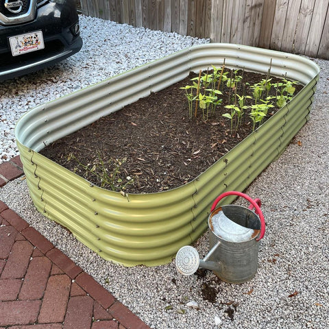 raised garden bed