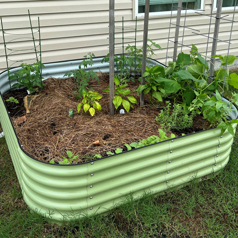 raised garden bed