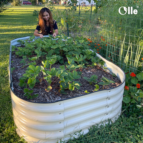 raised garden bed