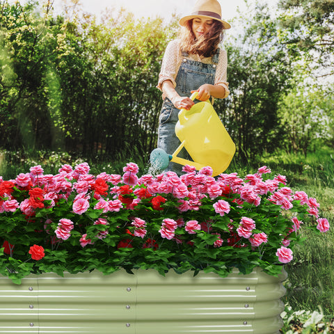 raised garden beds