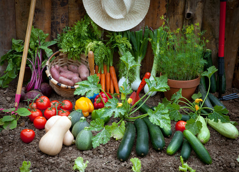 raised garden beds