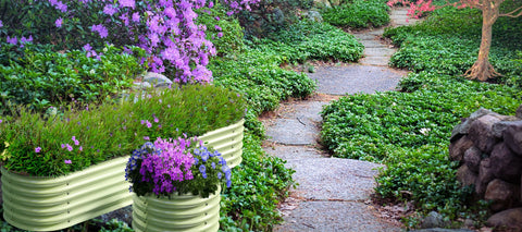 raised garden beds