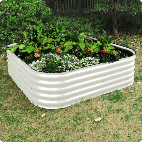 raised garden bed